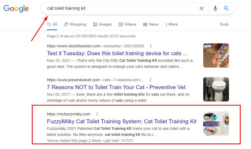 谷歌排名案例5关键词cat toilet training kit
